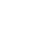 RighInfo003061_icon1