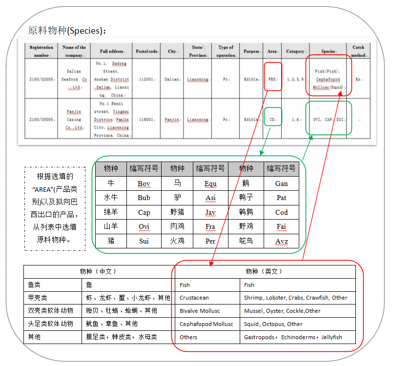 v8哈希游戏-不凡成就非凡,相信品牌的力量