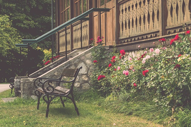 的重要动力 的重要动力