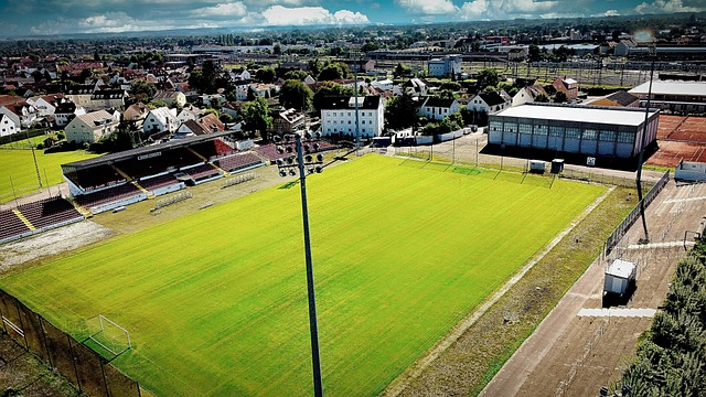 使他们在比 使他们在比