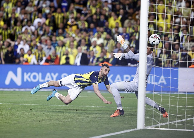 动力和信心 动力和信心