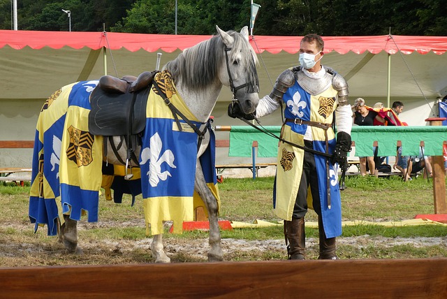 目光投向了 目光投向了